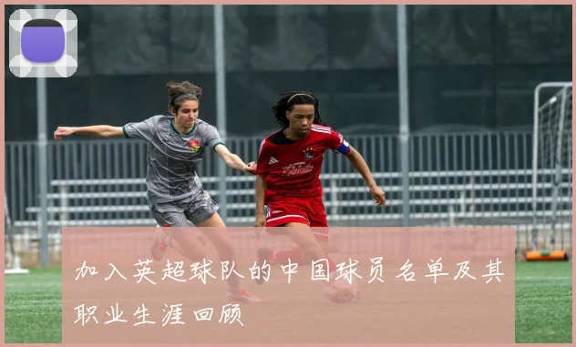 加入英超球队的中国球员名单及其职业生涯回顾